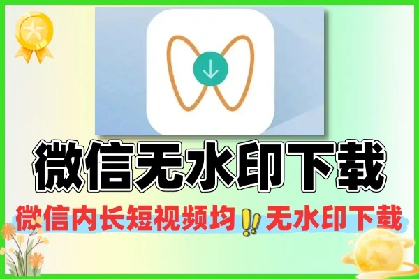 微信视频号无水印批量下载公众号-视频号-短视频下载软件+使用教程